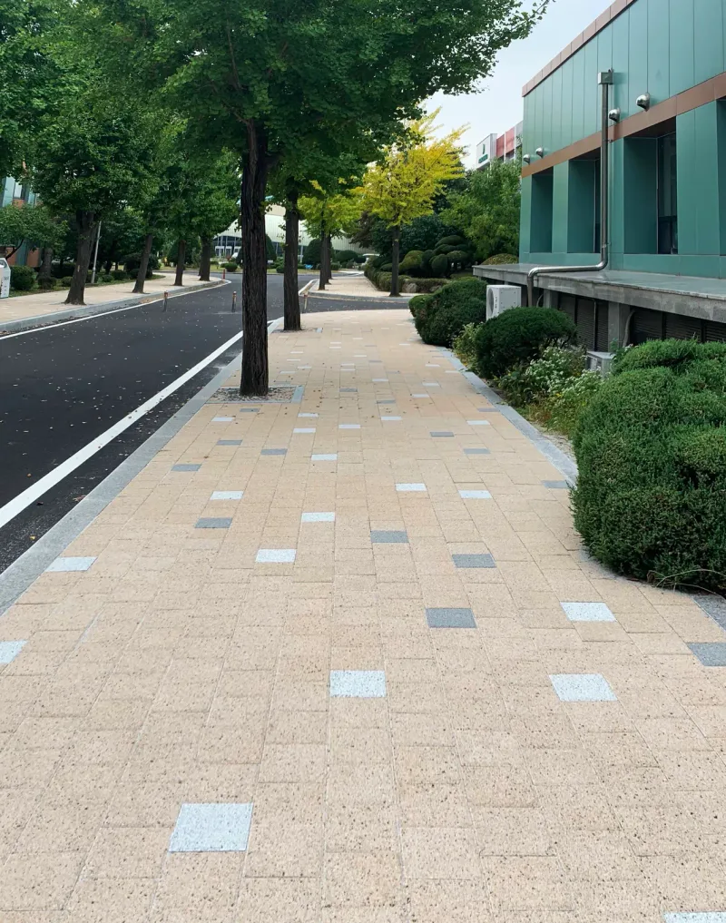 한국체육고등학교 교내 보도(세로 사진). 베이지색 블록 바닥에 회색·흰 블록이 점처럼 섞여 있고 가로수와 청록색 건물이 이어진다.