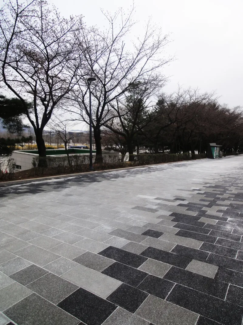 서울대공원 벚꽃길 보행로 가장자리. 연회색 바탕에 짙은 회색·검은 블록이 계단처럼 모여 무늬를 이루며 벚나무 줄을 따라 이어진다.