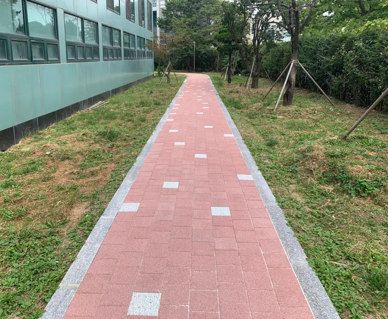 한국체육고등학교 교사 옆 산책로. 잔디 사이로 붉은 블록 길이 곧게 뻗어 있고 흰 블록이 띄엄띄엄 박혀 있다.
