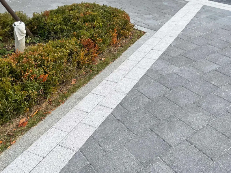 서울대공원 동물원 화단 가장자리 근접 사진. 짙은 회색 블록 바닥과 관목 화단 사이를 밝은 회색 블록 두 줄이 테두리처럼 둘러싼다.
