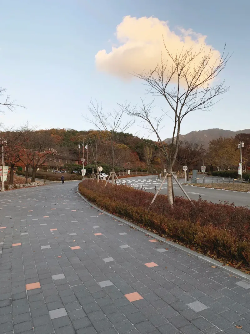 서울대공원 호숫가 순환도로가 붉은 관목 화단을 따라 왼쪽으로 굽어 나가는 구간. 회색 블록에 주황색·밝은 회색 블록이 섞여 있고 뒤로 산이 보인다.