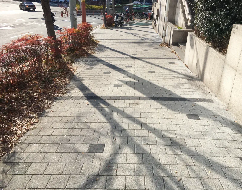 지오플레이스 일원 보도. 연베이지색 블록 사이사이에 짙은 회색 블록이 점점이 들어간 내리막 길이 콘크리트 담장과 붉은 수관목 사이로 이어진다.