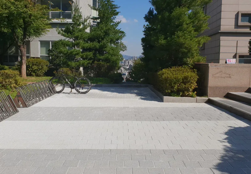 중앙대학교 건물 옆 휴게 공간. 연회색 블록 바닥 한쪽에 자전거 거치대와 돌계단이 있고 뒤로 소나무가 서 있다.