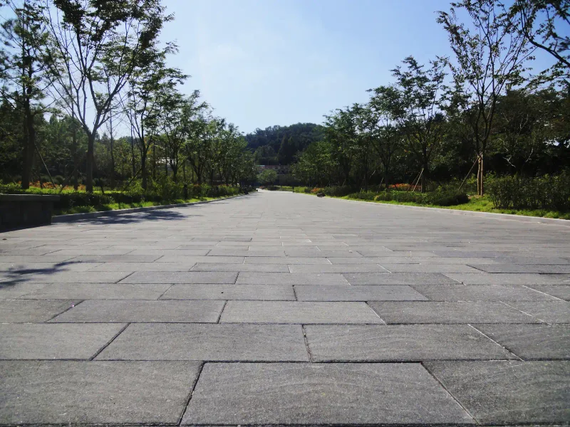 서울대공원 느티나무길을 낮은 눈높이에서 본 모습. 결 무늬가 있는 회색 사암블록이 넓은 길에 가로로 엇갈려 깔리고 양옆으로 나무와 화단이 이어진다.