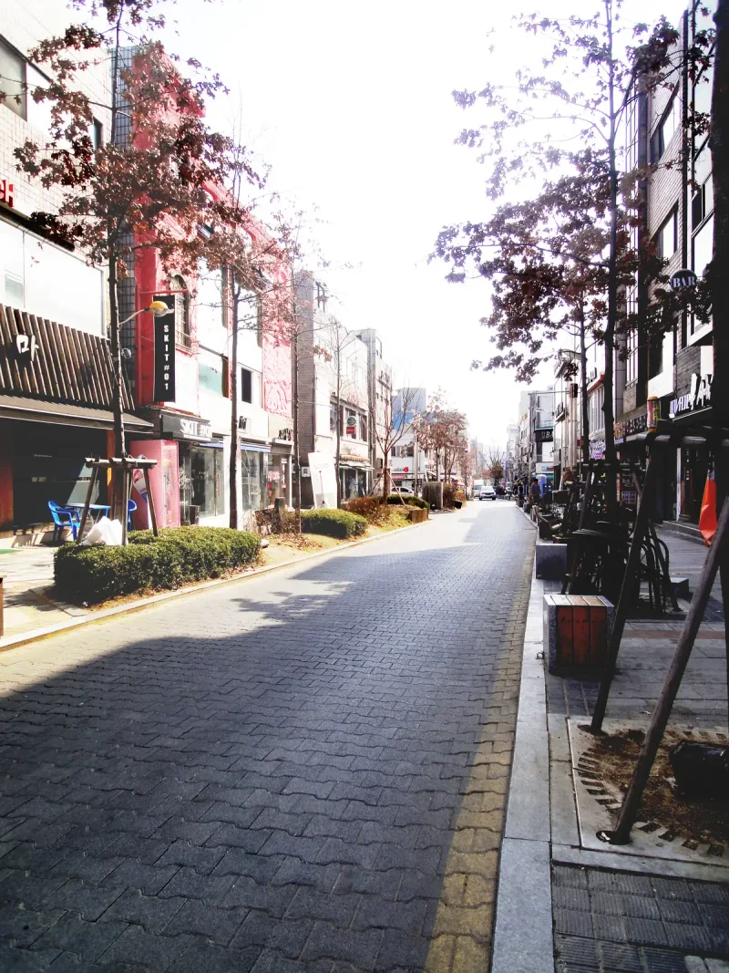 부천 차도블록 구간 세로 구도. 붉은 잎이 든 가로수 아래 회색 블록 보도가 상점가를 따라 길게 이어진다.