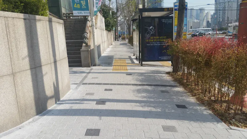 지오플레이스 일원 인도. 밝은색 블록 포장 한가운데로 노란 점자 블록이 곧게 이어지고 담장 아래 붉은 잎 관목이 늘어서 있다.
