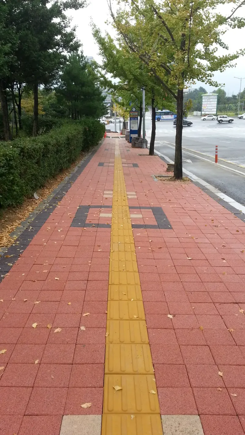 인천 연수구 가로수 보도 세로 사진. 적갈색 블록 길을 따라 노란 점자블록이 곧게 뻗고 짙은 회색 블록 테두리 무늬가 중간에 놓여 있다.