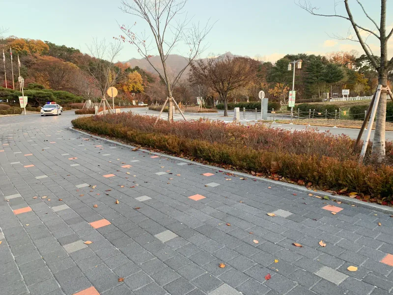 서울대공원 순환도로 굽은 구간. 짙은 회색 블록 길이 단풍 관목 화단을 따라 휘어지고 멀리 산과 가로등이 보인다.