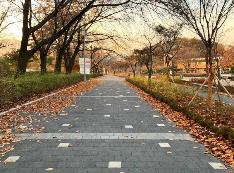 서울대공원 호숫가 순환도로의 가로수 길. 짙은 회색 블록 사이로 밝은 회색 가로 띠와 흰 블록이 반복되고 양옆 화단에 낙엽이 쌓여 있다.