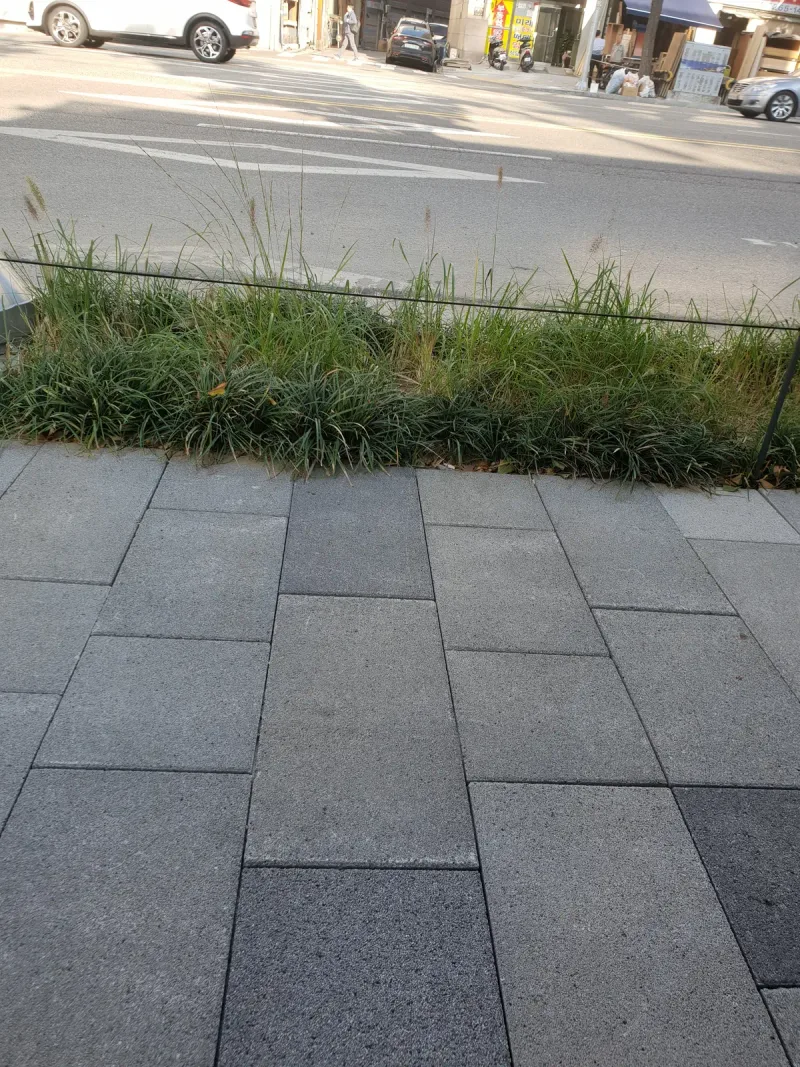 중구 동호로 보도에서 차도 쪽 화단을 본 세로 사진. 짙은 회색·밝은 회색 블록이 번갈아 깔린 바닥이 풀 화단 경계까지 이어진다.