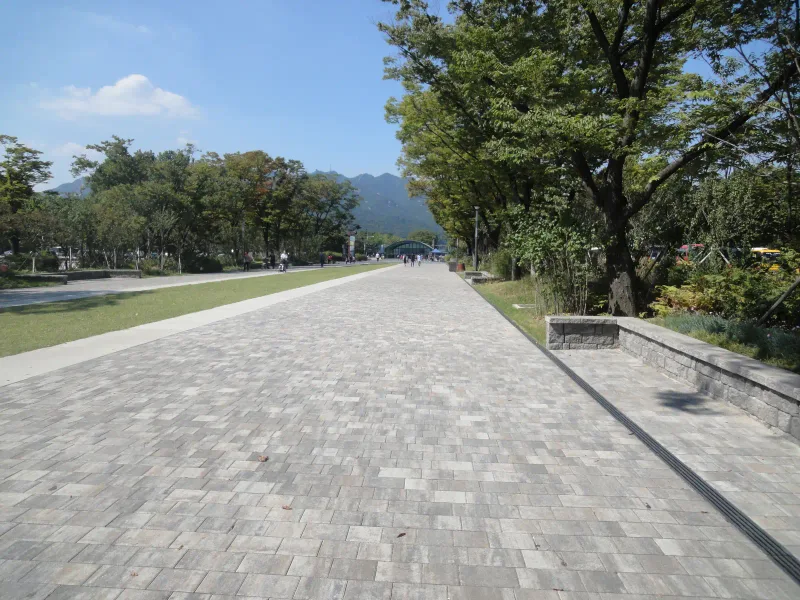 서울대공원 입구숲 벤치 화단 옆 산책로. 석재 화단 벽을 따라 배수 트렌치가 이어지고 분홍·회색 섞임 블록 길이 멀리 뻗어 있다.