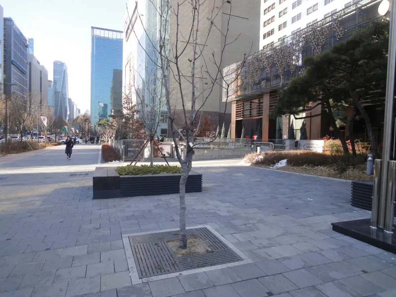 영동대로 삼성동 건물 앞 보행 공간. 회색 사암 질감 블록 바닥에 철제 보호덮개를 씌운 가로수와 사각 화단이 있고 뒤로 빌딩이 보인다.