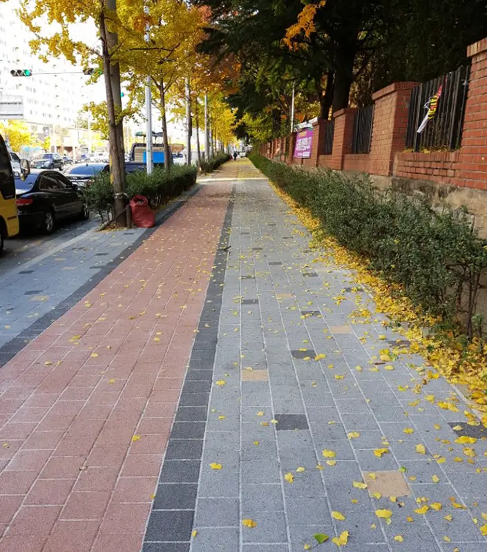 대구 대명천 주변 은행나무 가로 보도. 적갈색 자전거길과 회색 블록 보행로가 짙은 회색 띠로 나뉘어 나란히 뻗고, 벽돌 담장 옆 화단에 노란 은행잎이 떨어져 있다.