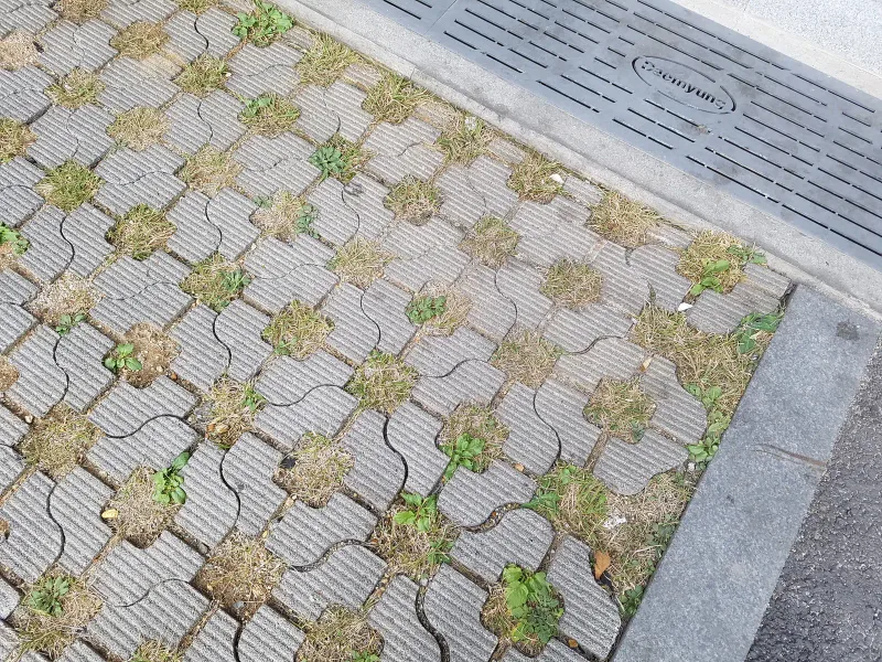 문정 지식산업센터 배수 덮개 옆 잔디블록 근접 사진. 결 무늬가 있는 회색 잔디블록 구멍 사이로 풀이 자라 있다.
