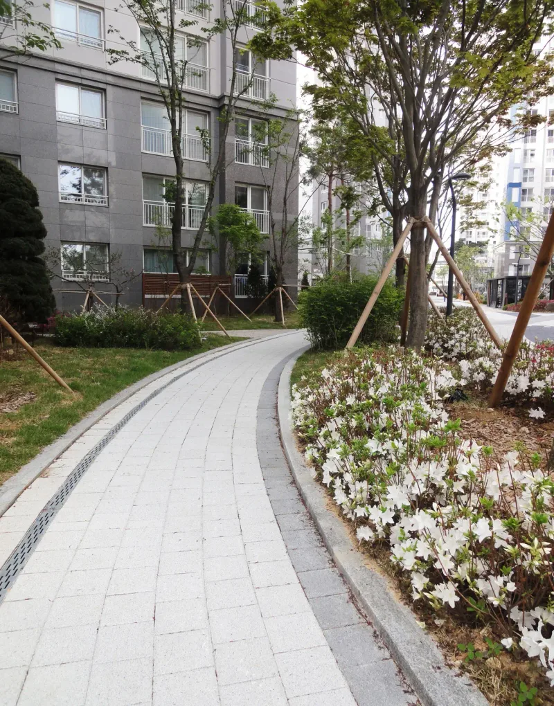 배곧 한신휴플러스 동 옆 오솔길. 밝은 회색 블록이 휘어진 좁은 길로 깔리고 가장자리에 회색 띠와 배수 덮개가 있으며 흰 철쭉이 길을 따라 피어 있다.