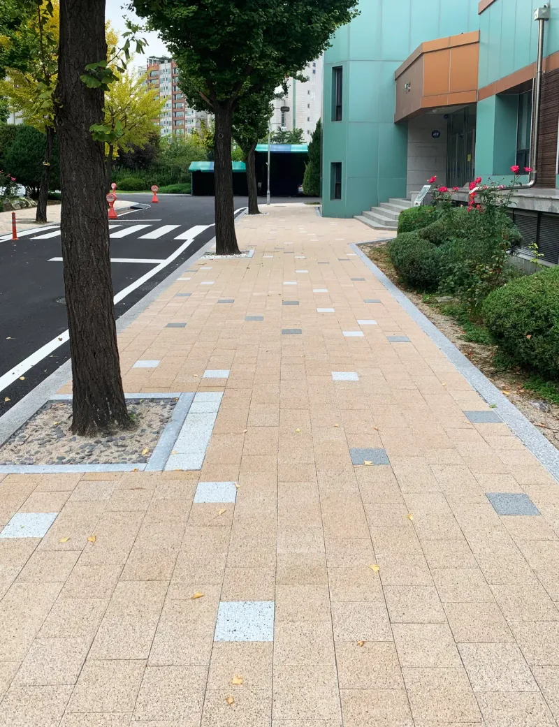 한국체육고등학교 건물 앞 보도. 베이지 블록 길이 가로수 보호틀과 교내 도로 사이로 곧게 뻗어 있고 멀리 횡단보도가 보인다.