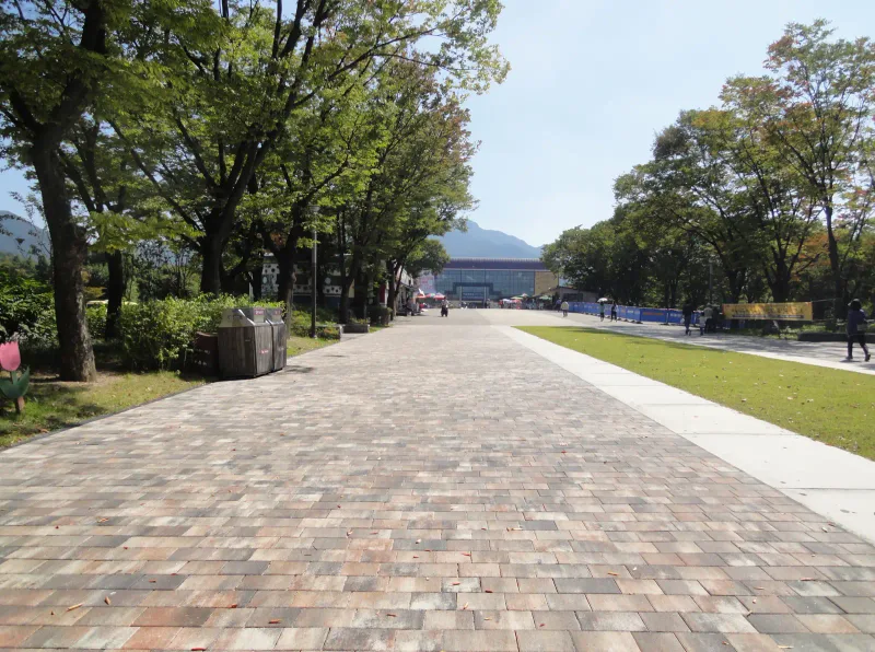 서울대공원 입구숲에서 정문 쪽으로 이어지는 넓은 길. 여러 색이 섞인 블록 보행로 옆으로 흰 콘크리트 띠와 잔디밭, 가로수가 이어진다.