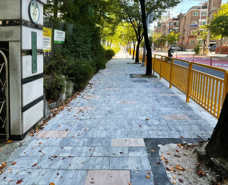 고양 현산초등학교 교문 기둥 옆 보도. 회색 결무늬 판형 블록 위로 낙엽이 흩어져 있고 가로수 사이로 노란 펜스가 차도와 경계를 이룬다.