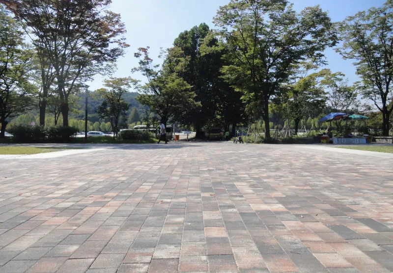 서울대공원 입구숲의 넓은 광장. 여러 색이 섞인 블록이 넓게 깔린 바닥 뒤로 키 큰 나무 숲과 푸른 하늘이 펼쳐진다.