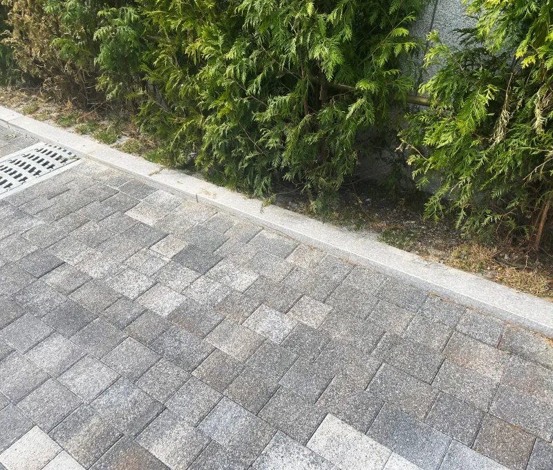 위례 자이 더 시티 블록 근접. 회색 농담의 사각 블록이 경계석까지 깔려 있고 모서리에 빗물받이, 뒤로 측백나무 울타리가 있다.