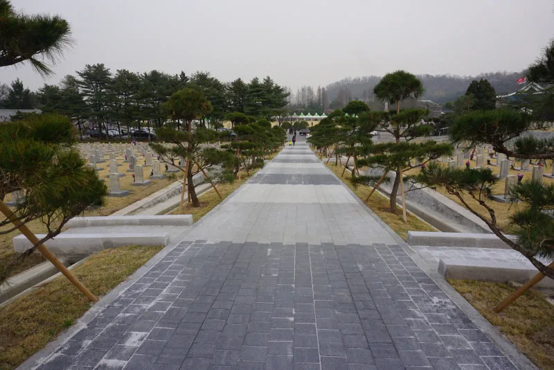 국립서울현충원 묘역 사이 참배로. 짙은 회색·연회색 직사각형 블록이 구간별로 번갈아 깔린 곧은 길 양옆에 소나무와 묘비가 줄지어 있다.