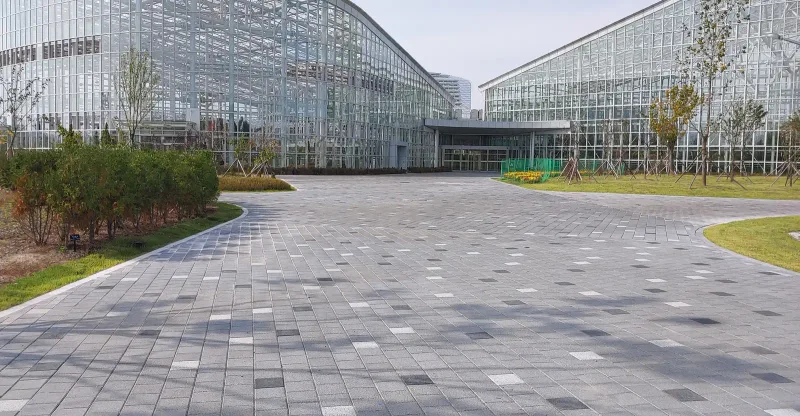 국립세종수목원 온실 진입 광장. 곡선 화단 사이로 회색 블록 바닥이 부채꼴로 펼쳐지고 양쪽에 곡선 지붕의 유리 온실이 서 있다.