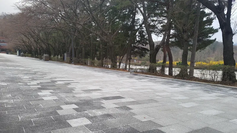 서울대공원 벚꽃길 호숫가 쪽 구간. 호수 둘레 나무와 개나리 앞으로 연회색·짙은 회색 블록이 섞인 넓은 보행로가 펼쳐진다.