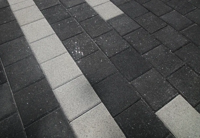 서울대공원 숲길 블록 근접. 짙은 회색 크리스탈블록 사이에 밝은 회색 블록이 한 줄로 대각선을 그리며 깔려 있다.