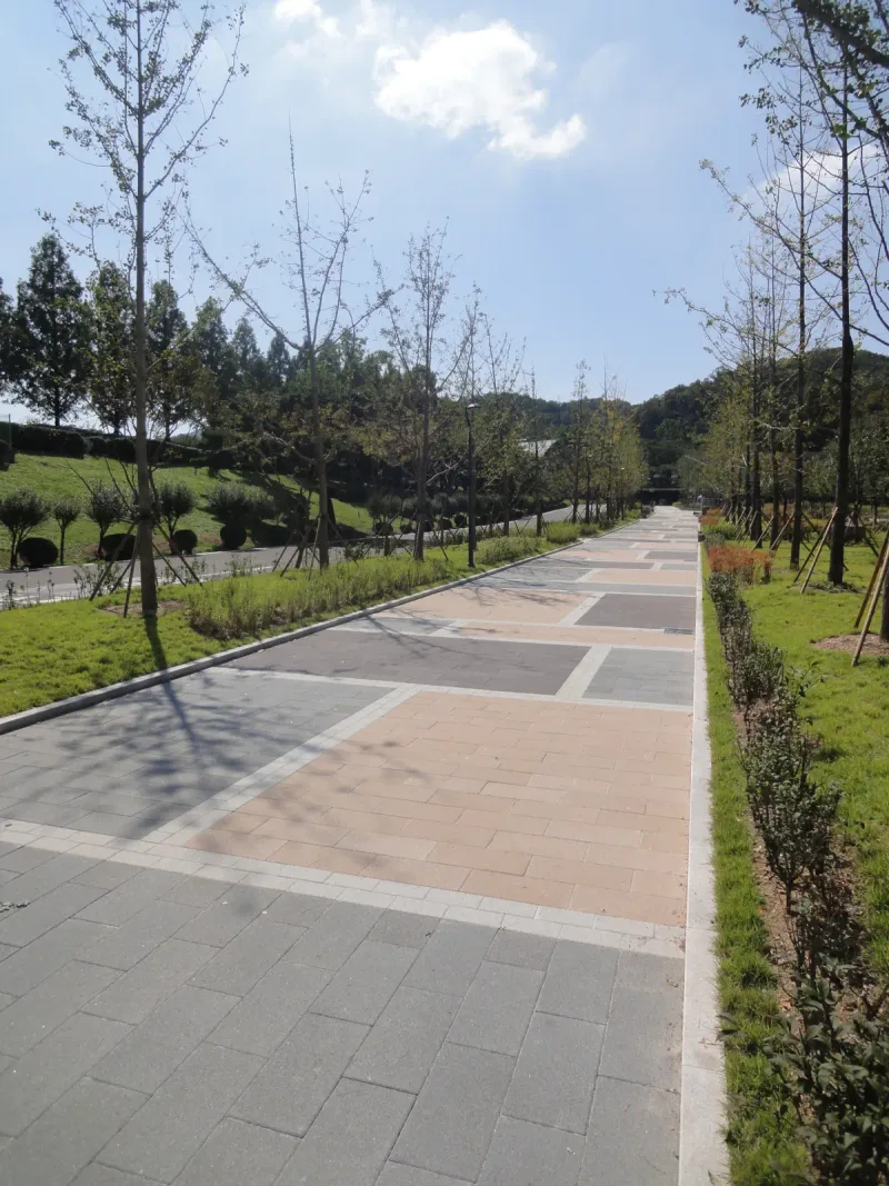 서울대공원 은행나무길을 세로로 담은 모습. 회색·베이지·자줏빛 블록 구획이 번갈아 놓인 곧은 길 양옆에 잔디와 가로수가 있다.