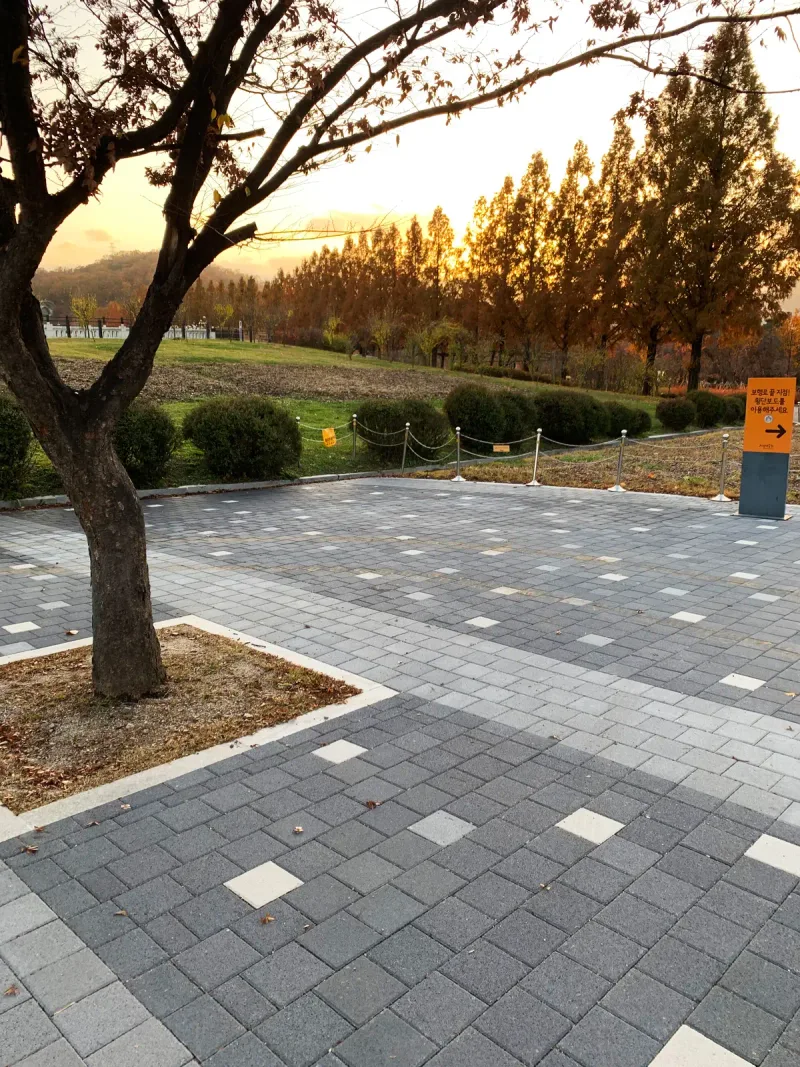 서울대공원 호숫가 순환도로의 나무 보호 화단 옆 바닥. 짙은 회색과 밝은 회색 블록이 구획을 나누고 흰 블록이 점처럼 박혀 있으며 뒤로 메타세쿼이아 숲이 보인다.