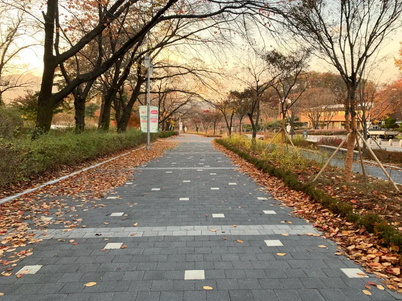 서울대공원 호숫가 순환도로. 짙은 회색 블록 길에 흰색 블록이 흩어지고 밝은 회색 띠가 가로지르며, 양옆으로 단풍 든 가로수가 늘어서 있다.