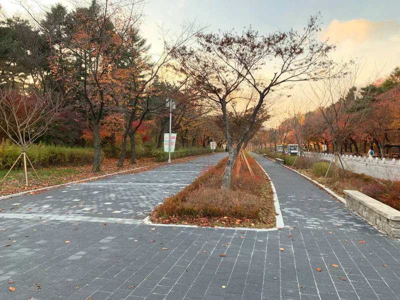 서울대공원 갈림 보행로. 단풍 화단을 가운데 두고 짙은 회색 블록 길이 두 갈래로 나뉘어 이어진다.
