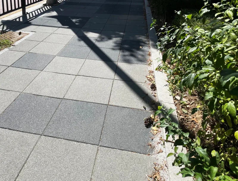 고양 일산로 보도 블록 근접. 연회색 판형 블록 사이에 짙은 회색 판형 블록이 끼워져 있고 오른쪽 화단 경계석 너머로 관목 잎이 덮여 있다.