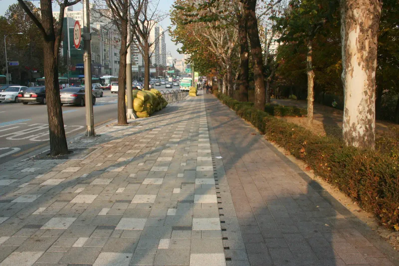 풍납동 플라타너스 가로수길 보도. 차도 쪽은 밝은 회색·회색 블록이 섞여 깔리고, 화단 쪽은 회색 블록 띠로 나뉘며 경계에 작은 틈이 점선처럼 이어진다.