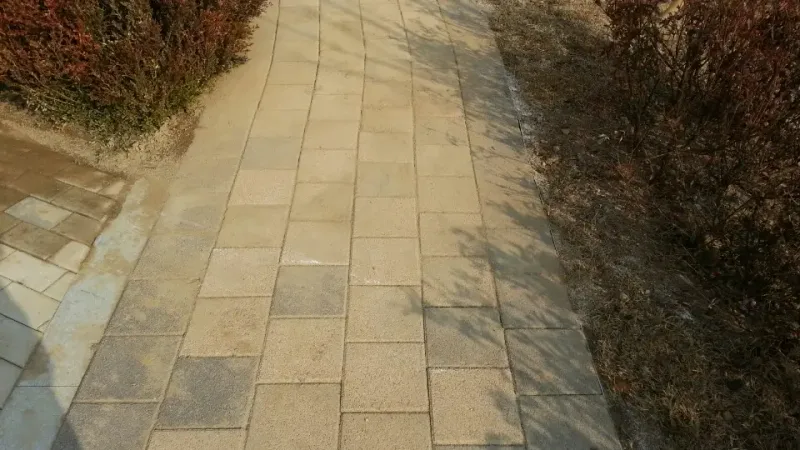 전주 우미린 단지 화단 사이 보행로. 연한 베이지 직사각형 블록 길 가장자리를 회색 블록 띠가 따라가고 양옆에 붉은 관목이 있다.