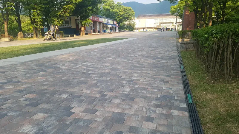 서울대공원 입구숲 관목 화단 옆 길. 분홍·회색 섞임 블록 보행로가 배수 트렌치를 따라 뻗고 멀리 공원 매표소 건물과 산이 보인다.