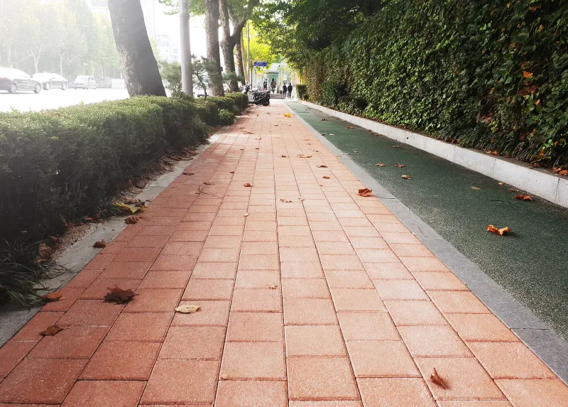 대치역 일대 화단 사이 보도. 연주황 블록이 줄눈을 맞춰 깔린 보도 양쪽으로 관목 화단과 녹색 자전거도로가 있다.