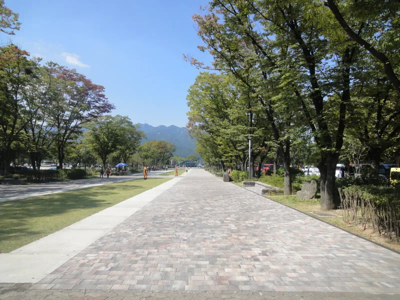 서울대공원 입구숲