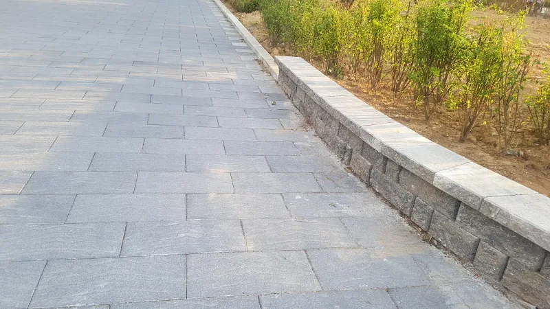 서울대공원 느티나무길 곡선 화단. 회색 대형 블록 길 가장자리를 짙은 석재 화단 벽이 부드러운 곡선으로 감싼다.
