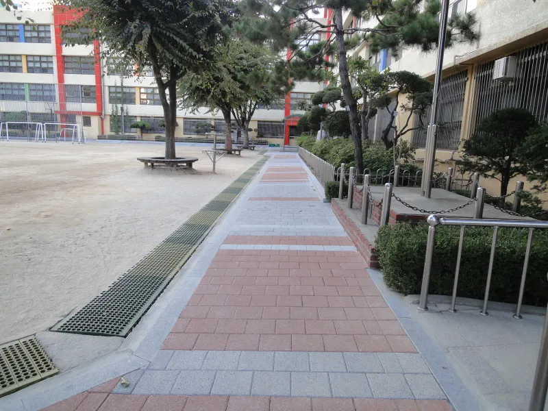중계초등학교 운동장 둘레 보행로. 적갈색·회색 블록 띠가 배수로를 따라 곧게 뻗고 오른쪽에 둥글게 다듬은 향나무 화단이 있다.