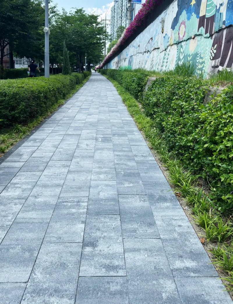 경춘선숲길 벽화 옆 산책로. 밝은 회색과 짙은 회색이 섞인 길쭉한 블록이 좁은 길을 따라 깔려 있고 양쪽에 생울타리가 이어진다.