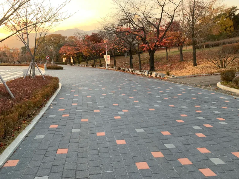 서울대공원 호숫가 순환도로의 완만하게 굽은 넓은 길. 짙은 회색 바탕에 주황색·밝은 회색 블록이 점점이 놓였고 오른쪽으로 단풍 든 언덕이 보인다.