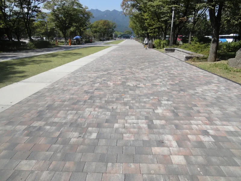 서울대공원 입구숲 쉼터 옆 보행로. 낮은 석재 벤치가 놓인 화단 옆으로 분홍·갈색·회색 블록이 섞인 넓은 길이 이어진다.