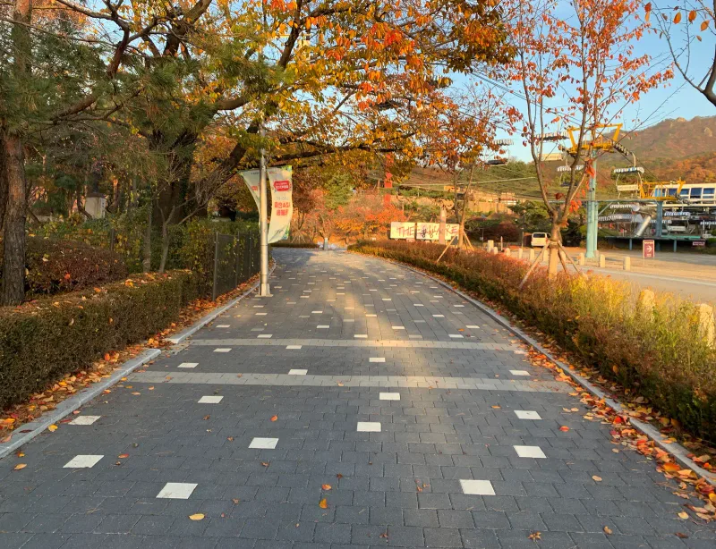 서울대공원 호숫가 순환도로에서 리프트 시설 쪽으로 굽은 보행로. 짙은 회색 블록에 밝은 회색 띠와 흰 블록이 깔리고 단풍 든 나무가 길 위로 드리운다.