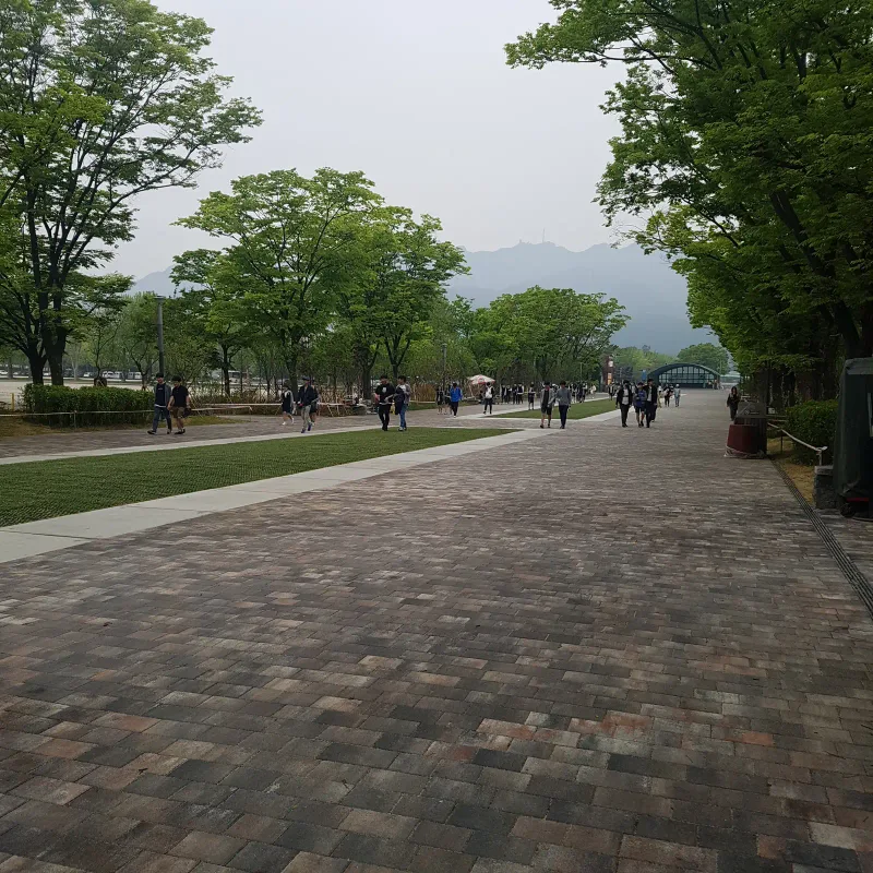 서울대공원 입구숲 가로수길. 흐린 날 초록 나무 아래로 적갈색·회색이 섞인 블록 길이 멀리 관람객이 오가는 광장까지 이어진다.