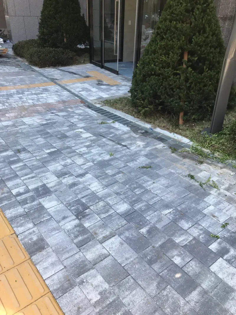 래미안 프리미어 팰리스 건물 입구 앞. 원뿔형 향나무 사이로 회색 계열이 섞인 블록 바닥과 노란 점자블록이 깔려 있다.