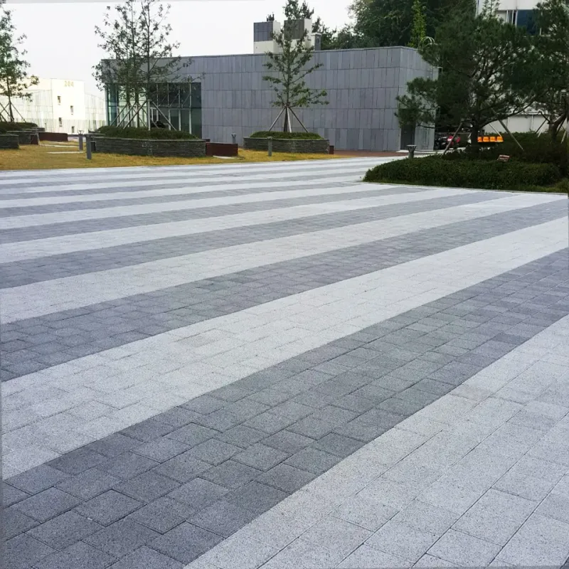중앙대학교 캠퍼스 광장. 밝은 회색과 진회색 블록이 넓은 줄무늬로 번갈아 깔려 있고 뒤로 잔디밭과 석재 외벽 건물이 보인다.