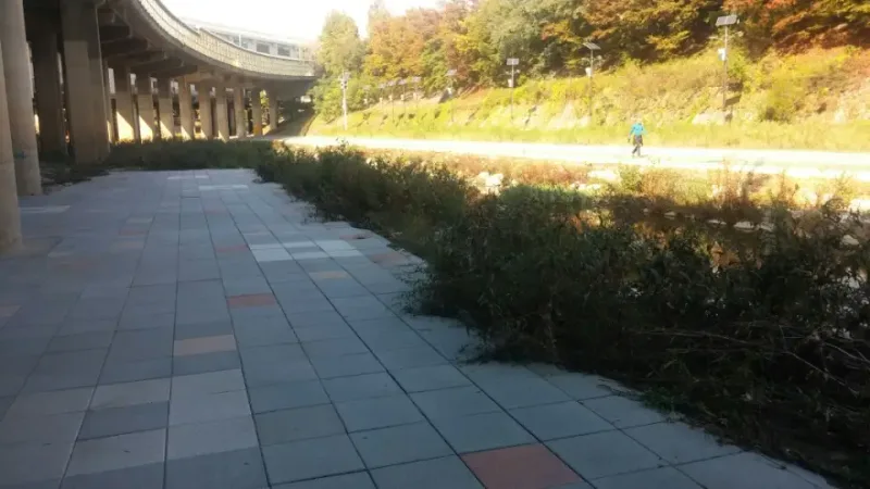 서초 하천변 대형블록 산책로. 회색 대형 블록 사이에 주황·적갈색 블록이 섞인 길이 곡선 고가도로 아래로 이어지고, 옆으로 수풀과 둔치 길이 보인다.
